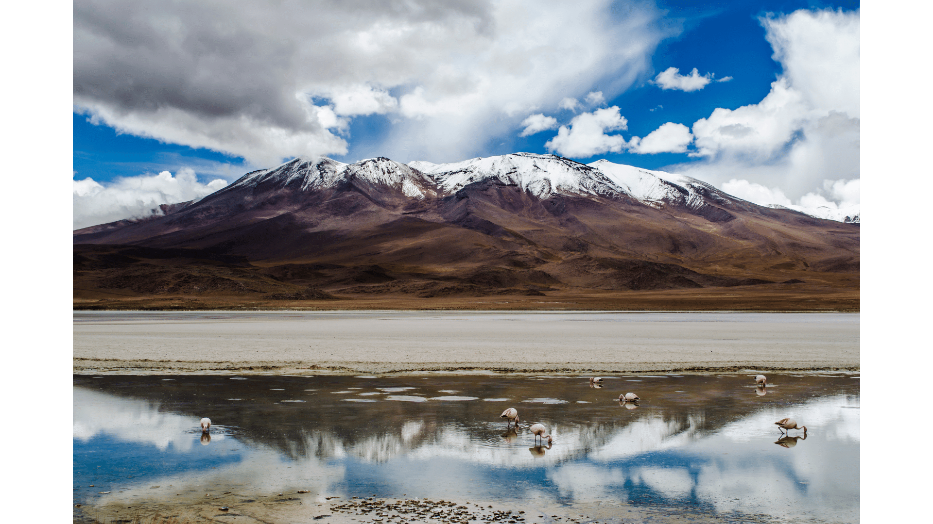 San Pedro de Atacama Chile - lago e montanha