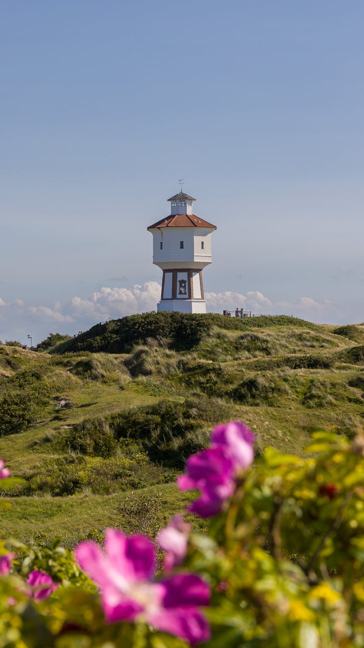 Panorama of a Meadow in Langeoog - Melhores destinos na Alemanha