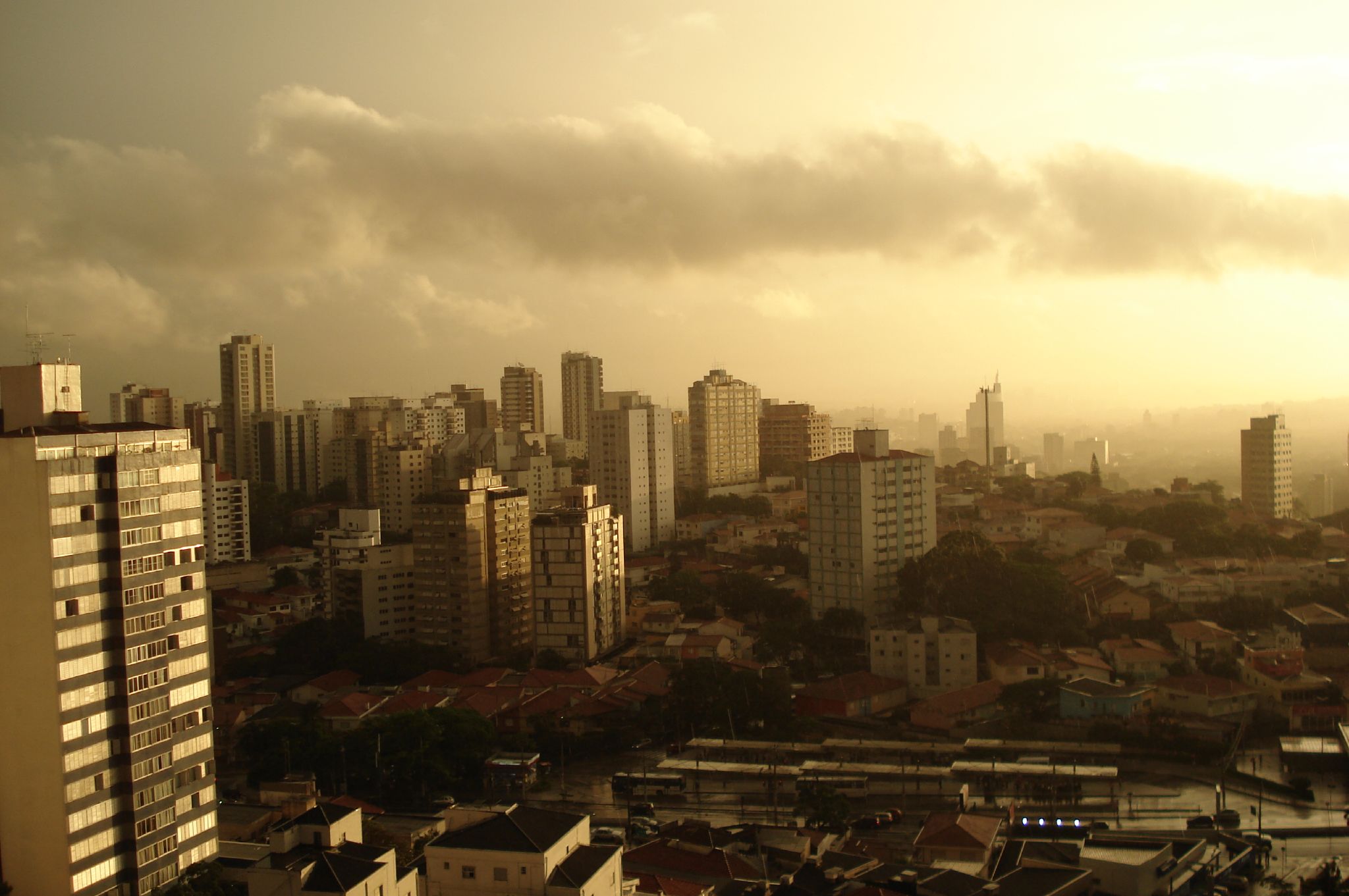 O Boêmio bairro da Vila Madalena - Passeios econômicos em São Paulo