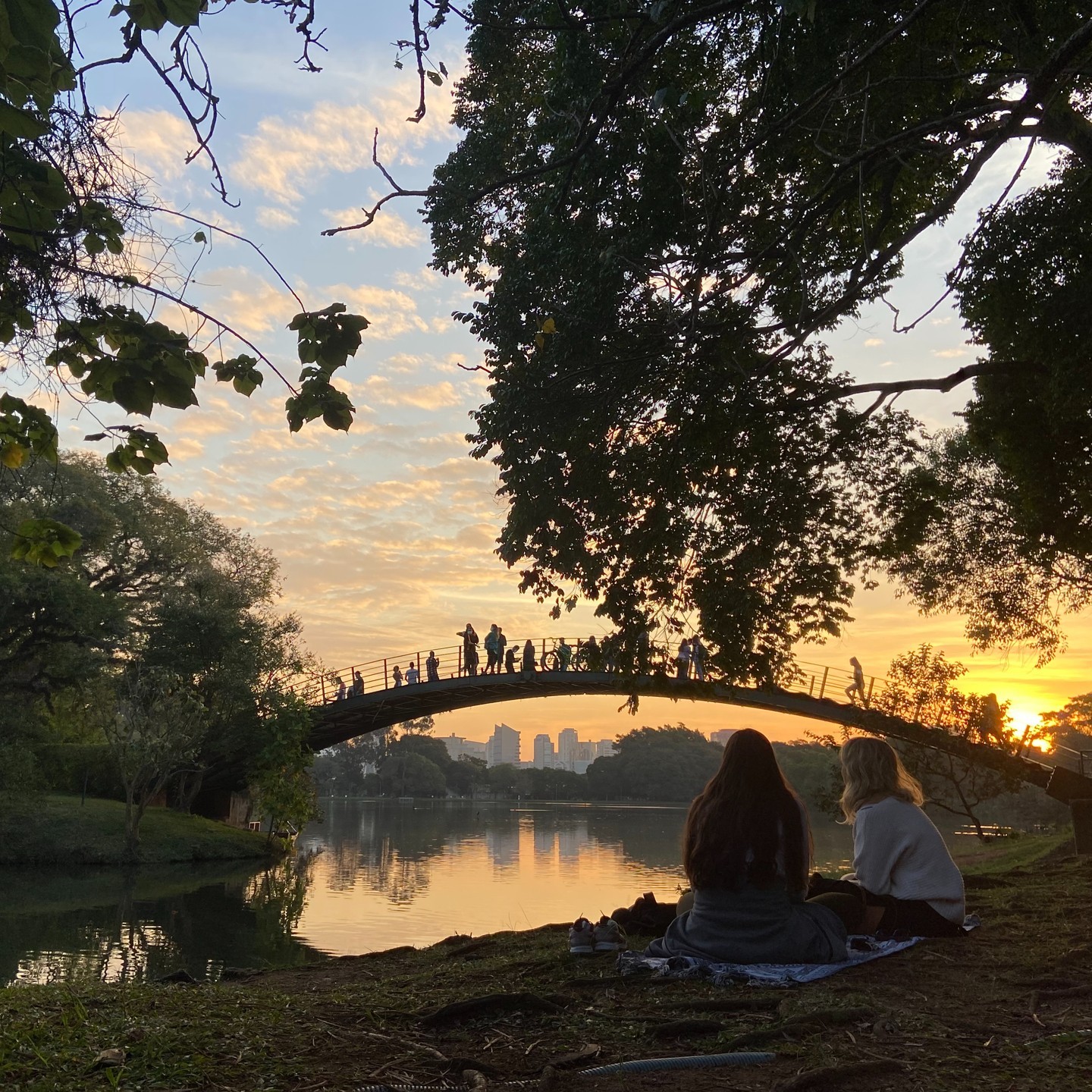 Parque Ibirapuera - Passeios econômicos em São Paulo