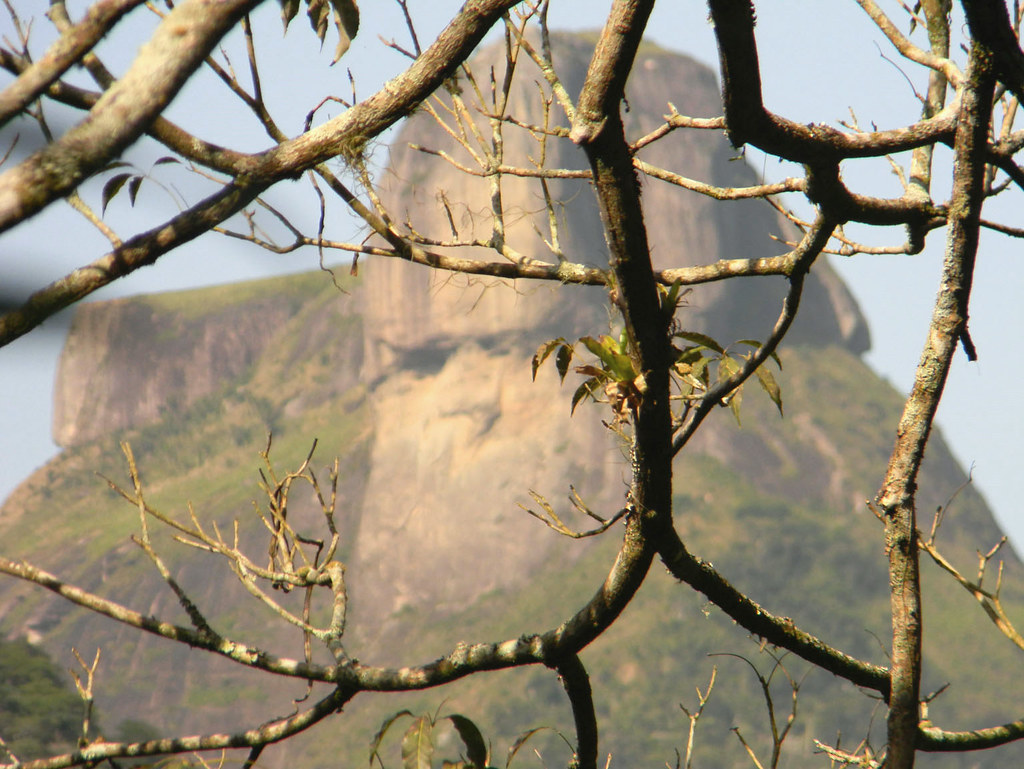 Trilha Pedra da Gávea