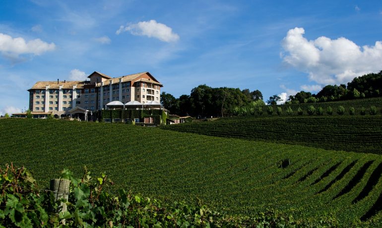 bento gonçalves, winery, rio grande do sul - Vale dos Vinhedos