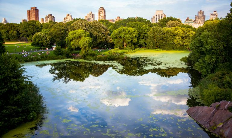 green trees near body of water - Parques em Nova York