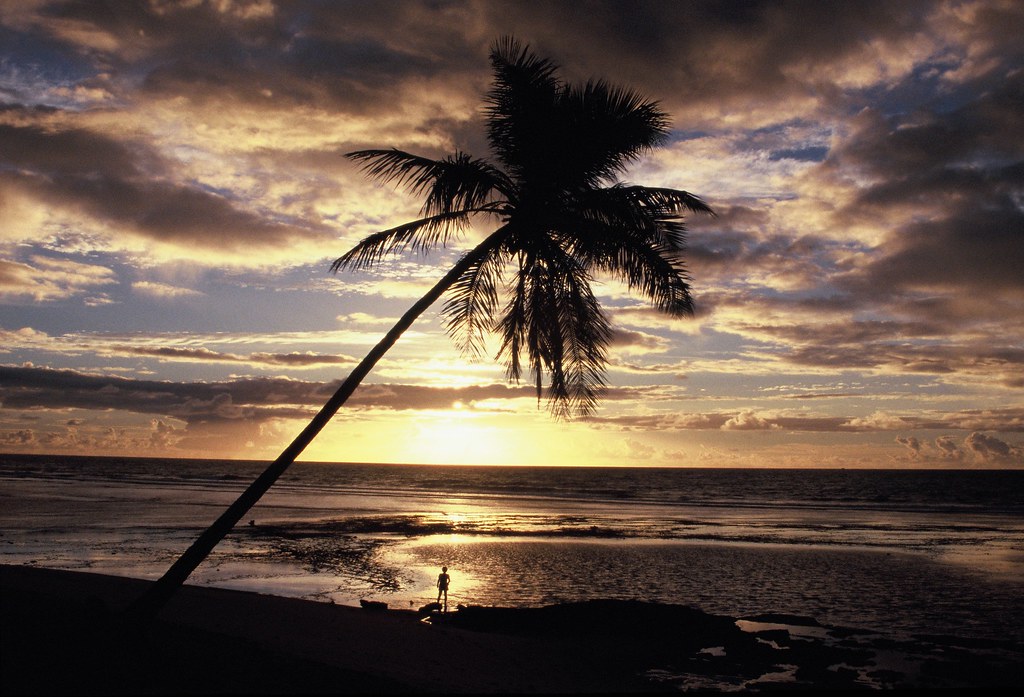 Praia do Forte - Porto de Galinhas  - Praias do Nordeste