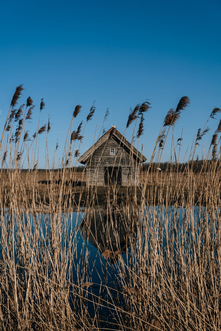 Estonia - Viagem imperdível para Estónia