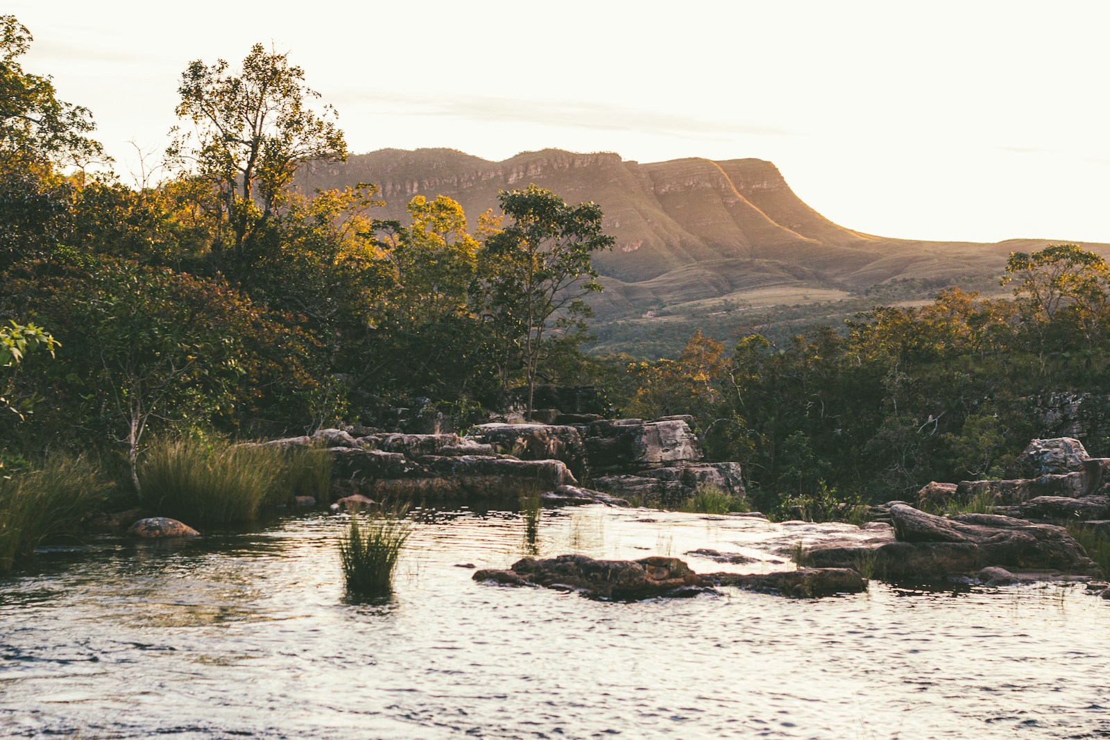 green trees near body of water during daytime - Cachoeiras na Chapada dos Veadeiros