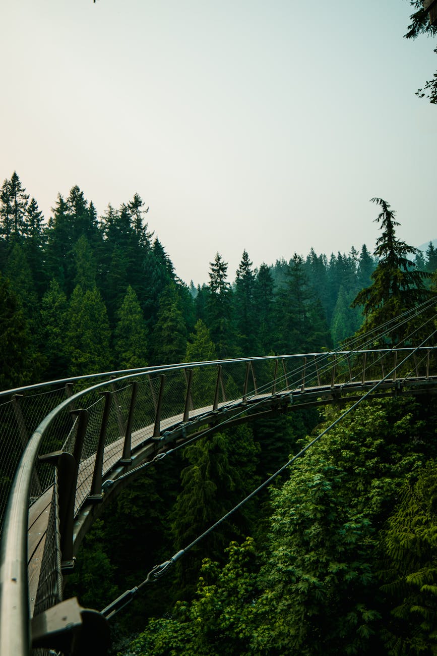 Capilano - melhores atrações para visitar em Vancouver